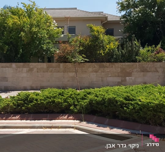 חצר עם שיחים, מדרכה נקייה ורכב חונה